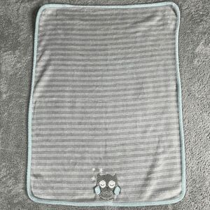 Parent's Choice Gender Neutral Sleeping Owl Plush Baby Blanket Grey Blue Unisex